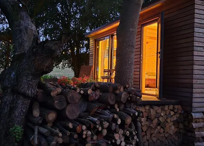 Lüks kamp alanı Tiny House - Schoulenka Pod Mirabelkami Chlumec (Cesky Krumlov)