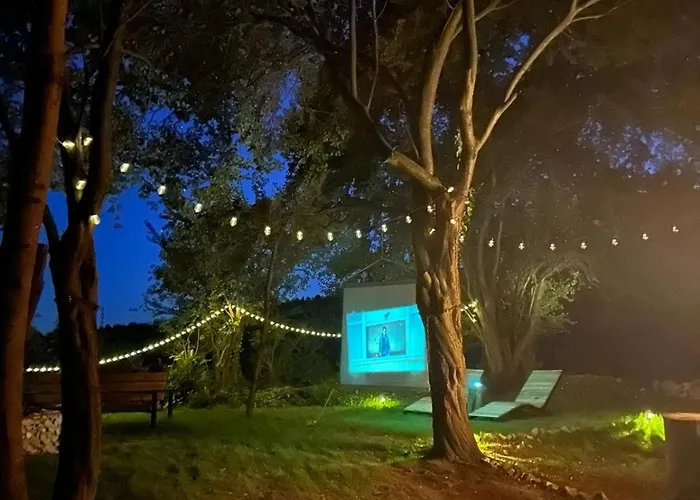 Tiny House - Schoulenka Pod Mirabelkami Lüks kamp alanı